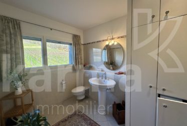 Spacieux duplex avec vue sur le lac
