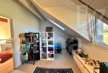 Spacieux duplex avec vue sur le lac