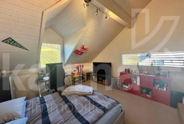 Spacieux duplex avec vue sur le lac