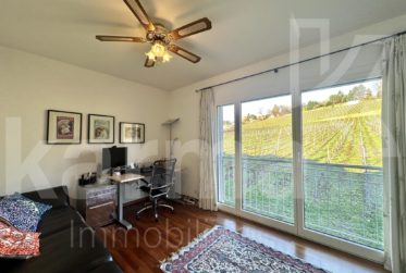 Spacieux duplex avec vue sur le lac