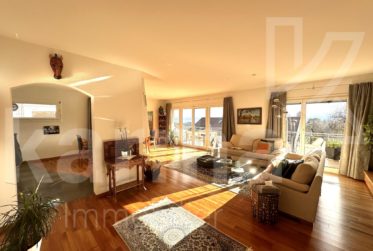 Spacieux duplex avec vue sur le lac