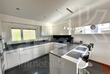 Spacieux duplex avec vue sur le lac