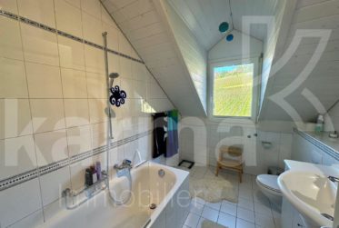 Spacieux duplex avec vue sur le lac