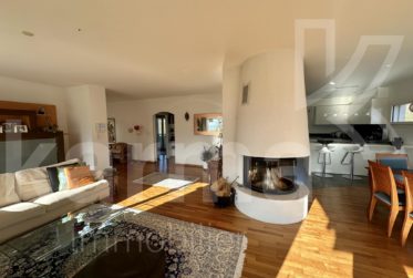 Spacieux duplex avec vue sur le lac