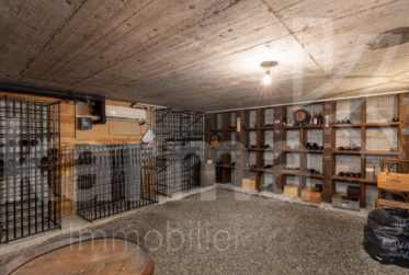 En exclusivité - Magnifique propriété individuelle avec piscine