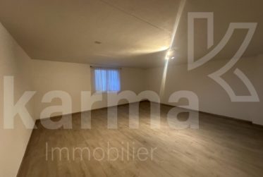 Magnifique maison individuelle avec piscine - 5 chambres