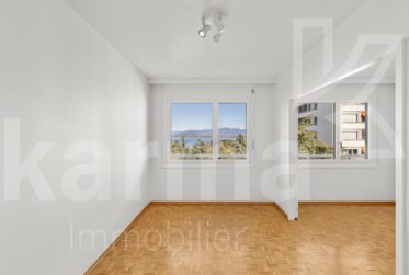 Lumineux appartement offrant une vue sur le lac et les Montagnes