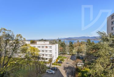 Lumineux appartement offrant une vue sur le lac et les Montagnes