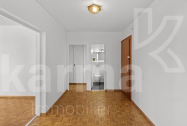 Lumineux appartement offrant une vue sur le lac et les Montagnes