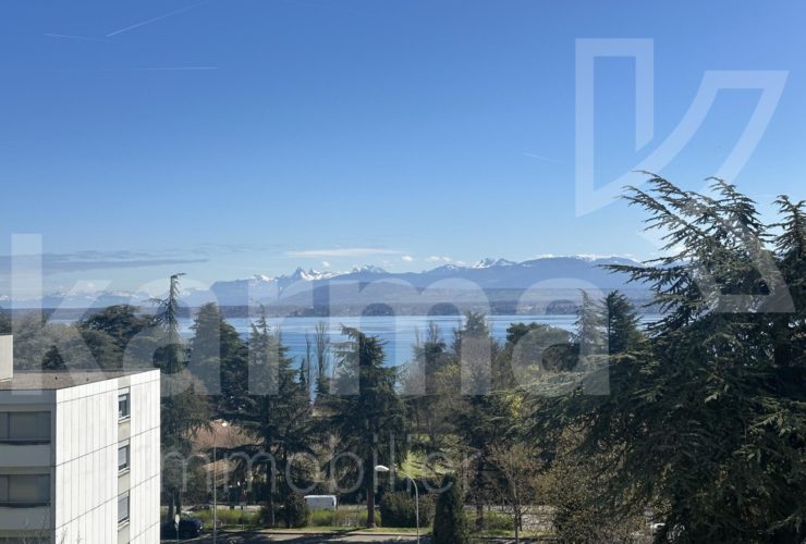 Lumineux appartement offrant une vue sur le lac et les Montagnes