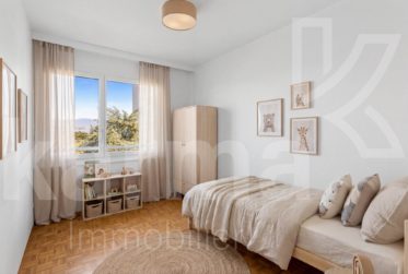 Lumineux appartement offrant une vue sur le lac et les Montagnes