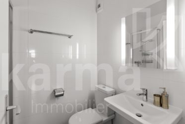 Lumineux appartement offrant une vue sur le lac et les Montagnes