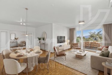 Lumineux appartement offrant une vue sur le lac et les Montagnes