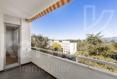 Lumineux appartement offrant une vue sur le lac et les Montagnes