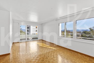Lumineux appartement offrant une vue sur le lac et les Montagnes
