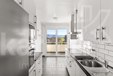 Lumineux appartement offrant une vue sur le lac et les Montagnes