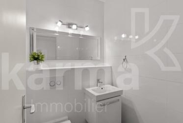 Lumineux appartement offrant une vue sur le lac et les Montagnes