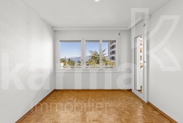 Lumineux appartement offrant une vue sur le lac et les Montagnes