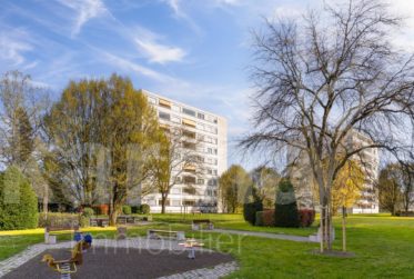 Lumineux appartement offrant une vue sur le lac et les Montagnes