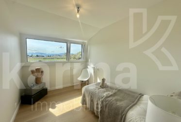 Magnifique maison individuelle située à Coppet