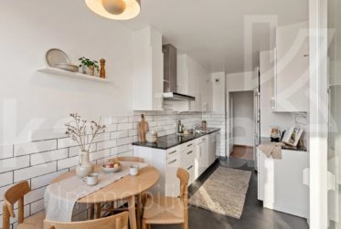 Lumineux appartement offrant une vue sur le lac et les Montagnes