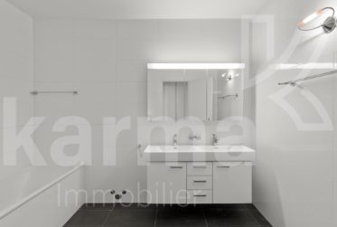 Lumineux appartement offrant une vue sur le lac et les Montagnes