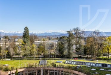 Lumineux appartement offrant une vue sur le lac et les Montagnes