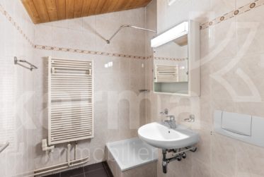 A vendre - Maison individuelle sur grande parcelle